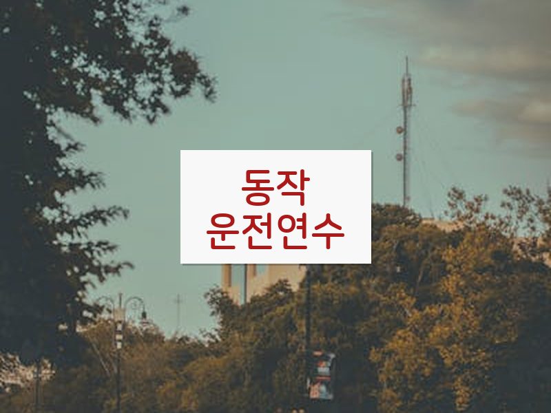 동작운전연수 후기