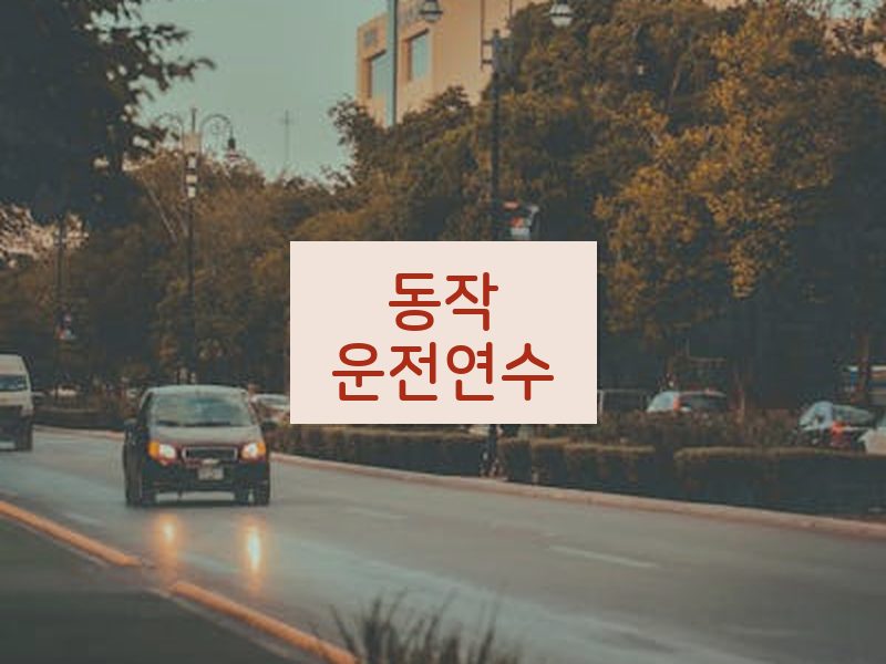 동작운전연수 후기