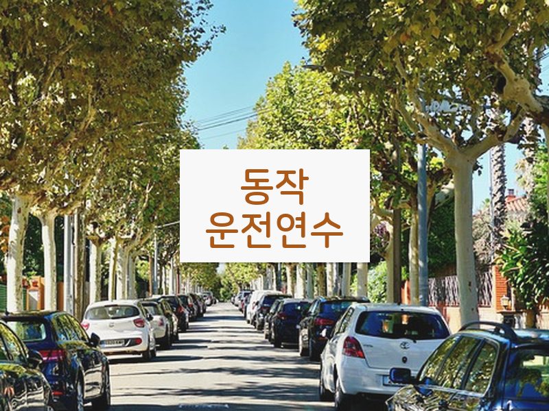 동작운전연수 후기