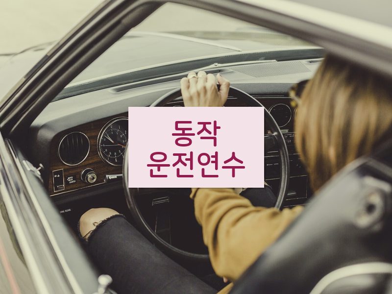 동작운전연수 후기