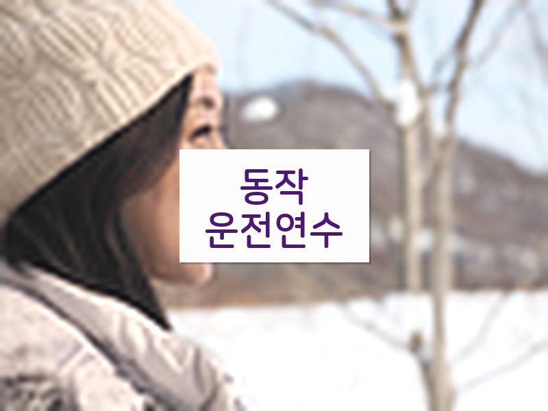 동작운전연수 후기