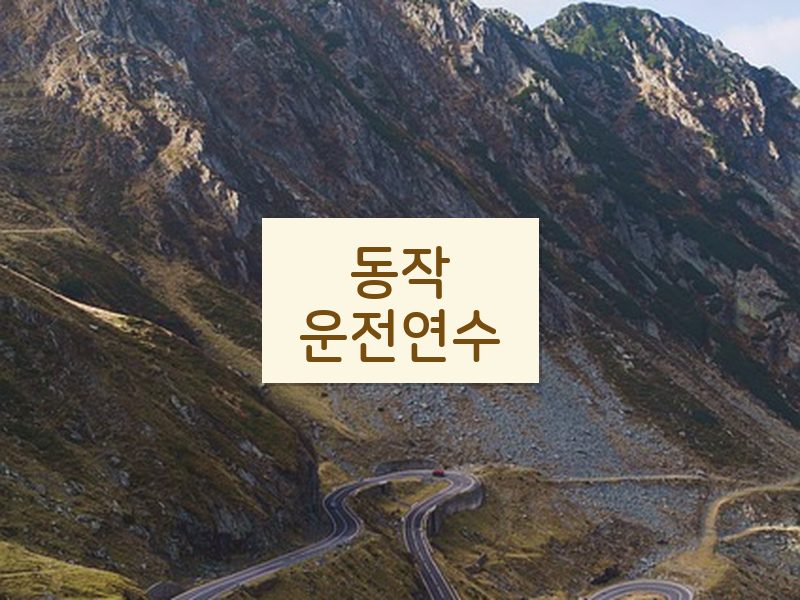 동작운전연수 후기