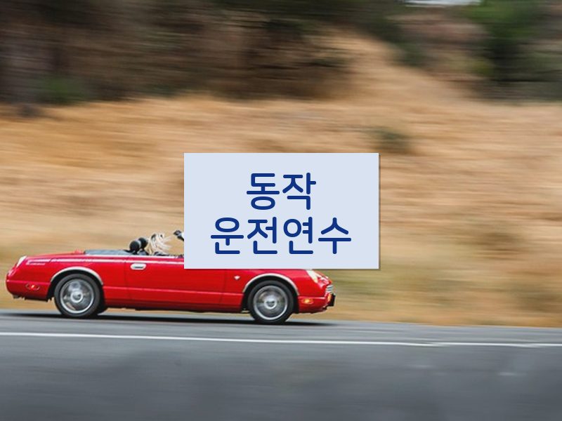동작운전연수 후기