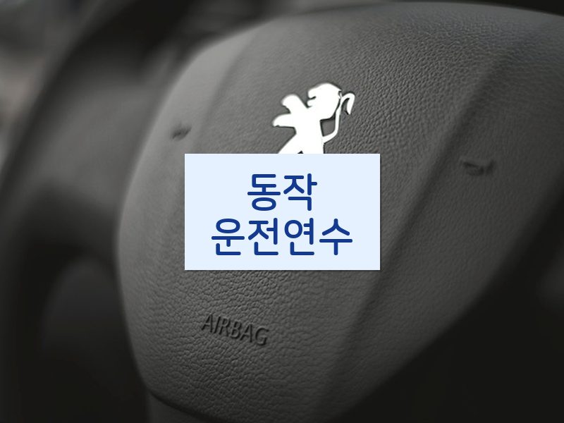 동작운전연수 후기