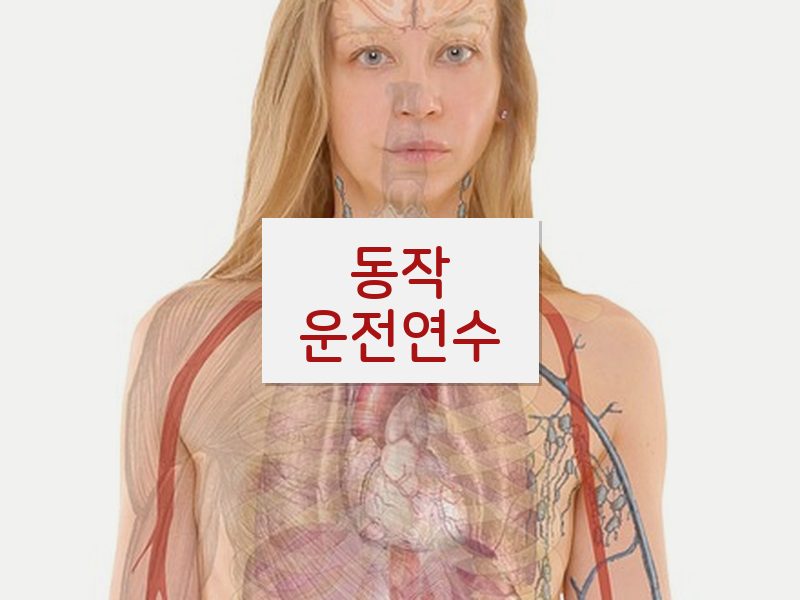 동작운전연수 후기