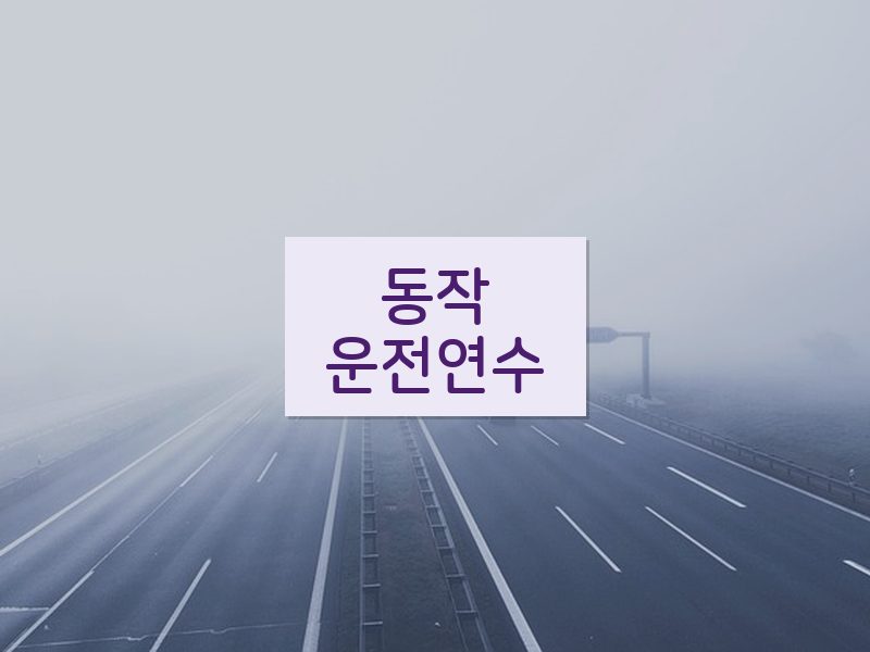 동작운전연수 후기