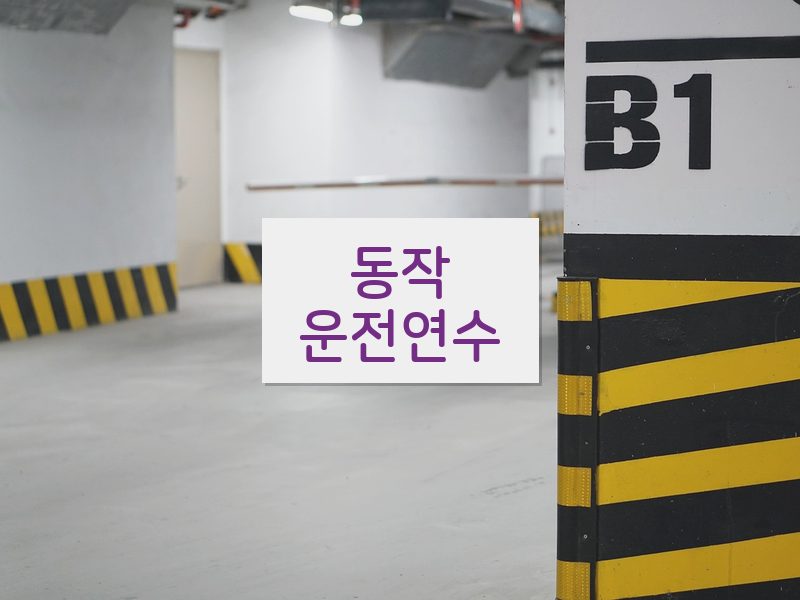 동작운전연수 후기