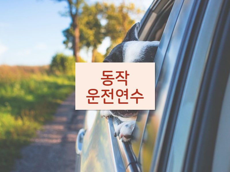 동작운전연수 후기