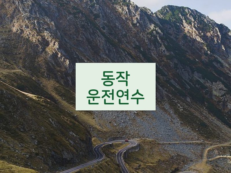 동작운전연수 후기