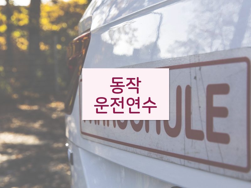 동작운전연수 후기
