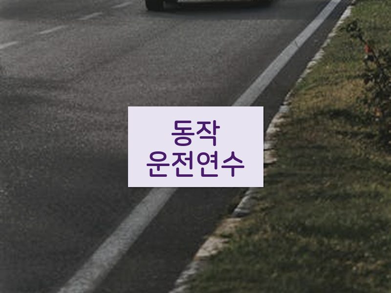 동작운전연수 후기