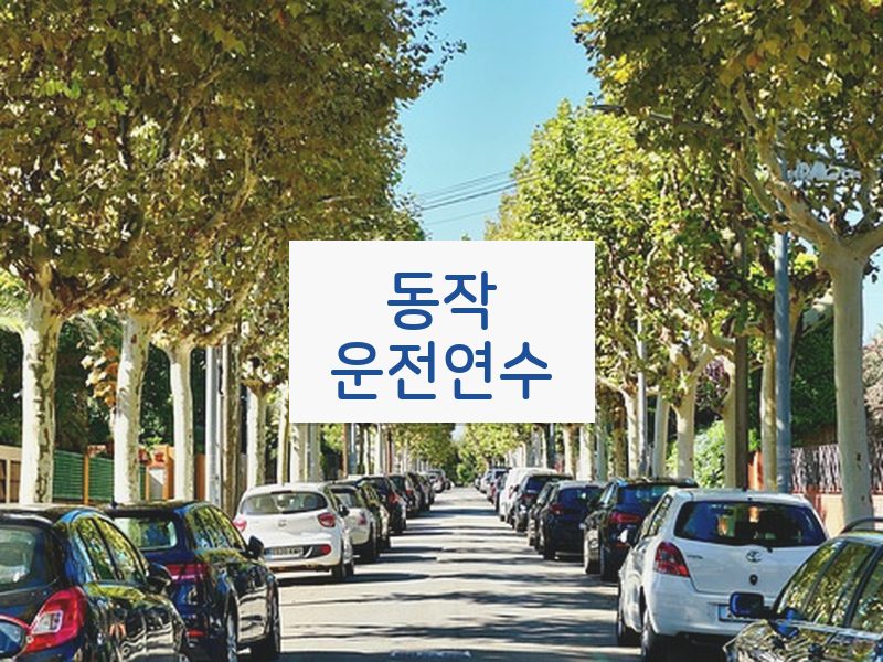 동작운전연수 후기