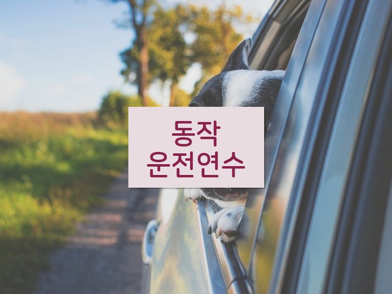 동작운전연수 후기