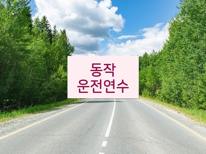 동작운전연수 후기
