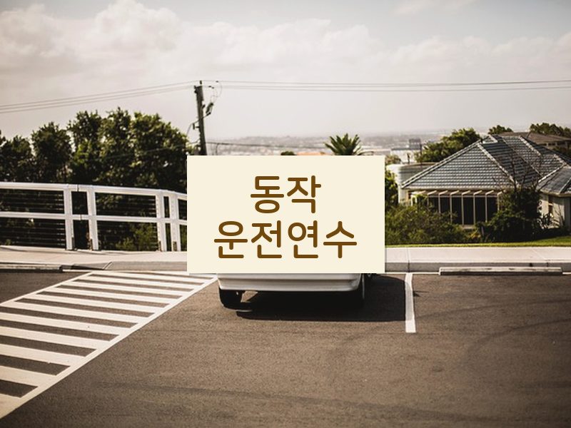 동작운전연수 후기