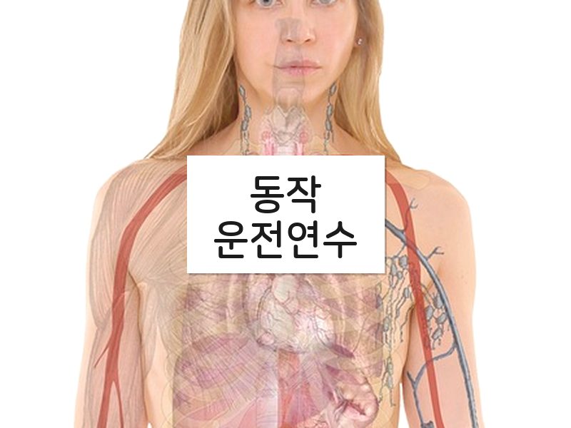 동작운전연수 후기