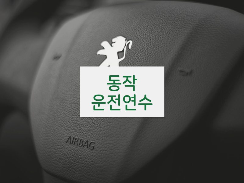 동작운전연수 후기