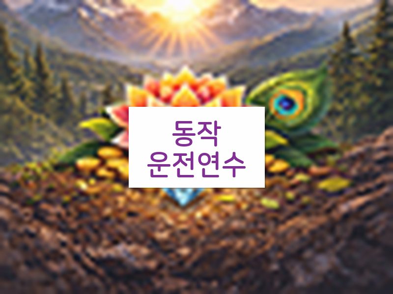 동작운전연수 후기