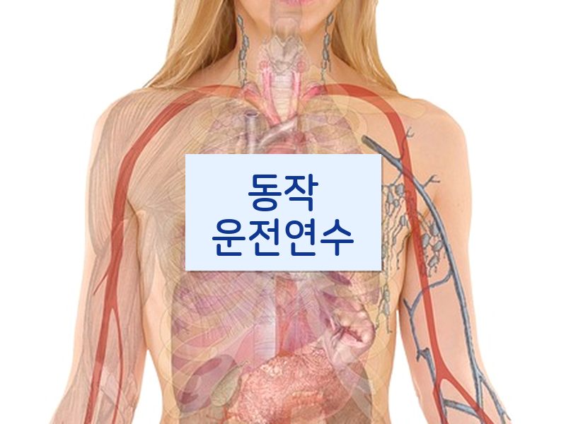 동작운전연수 후기