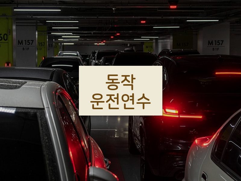 동작운전연수 후기