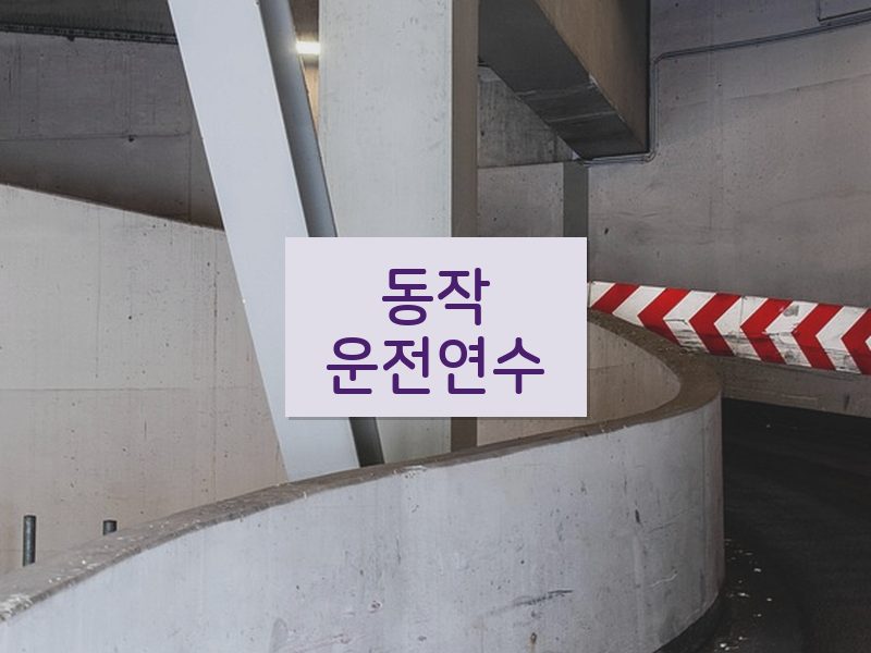 동작운전연수 후기