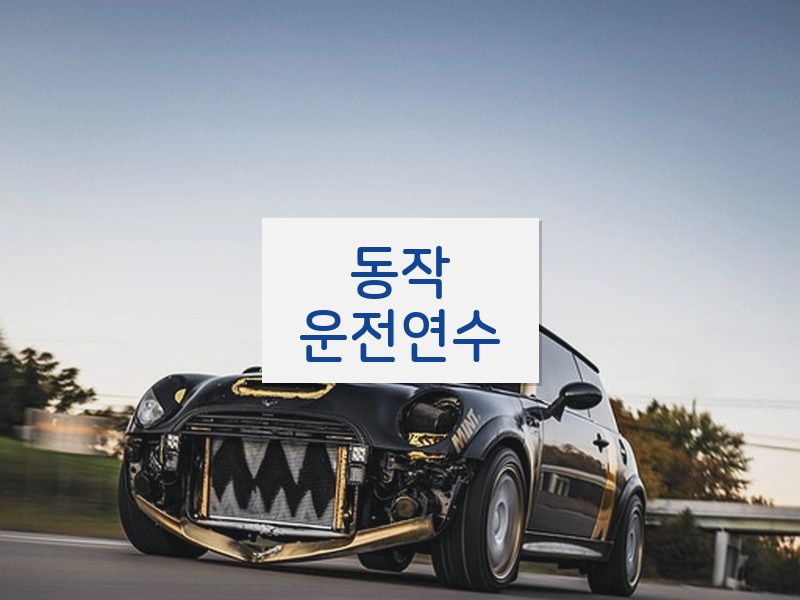 동작운전연수 후기