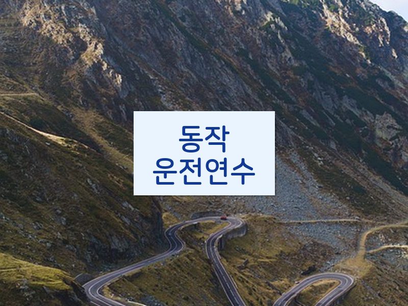동작운전연수 후기