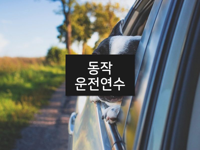 동작운전연수 후기