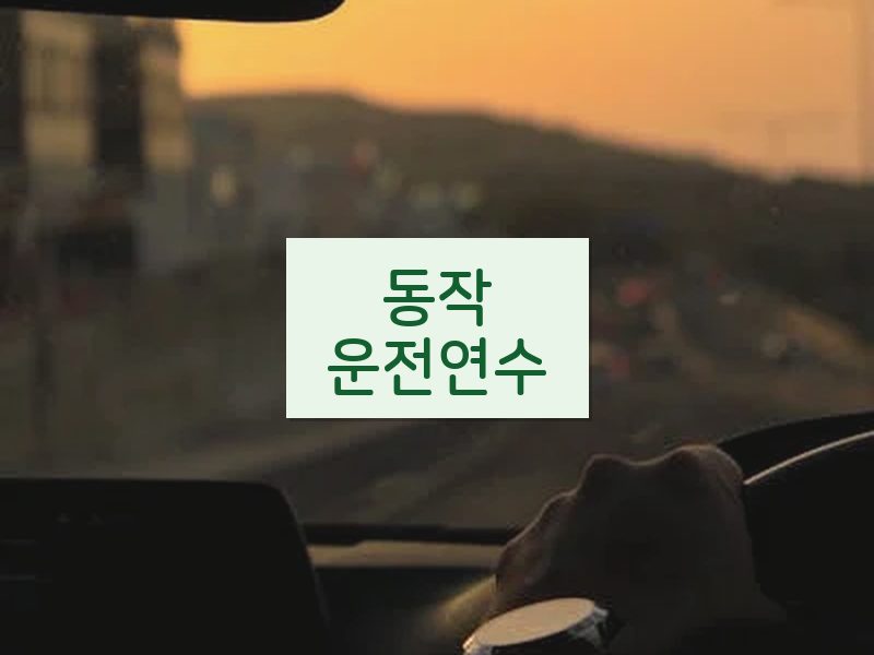 동작운전연수 후기