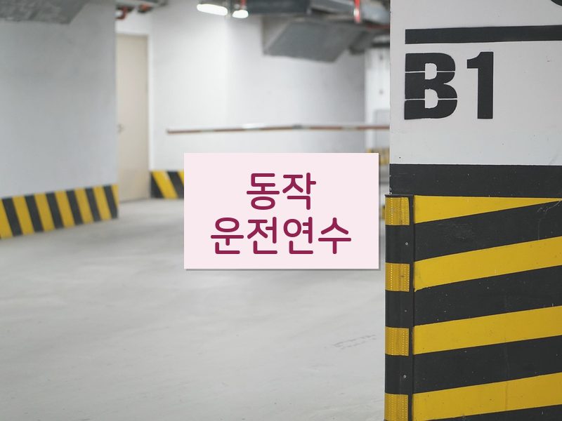 동작운전연수 후기