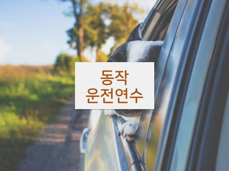 동작운전연수 후기