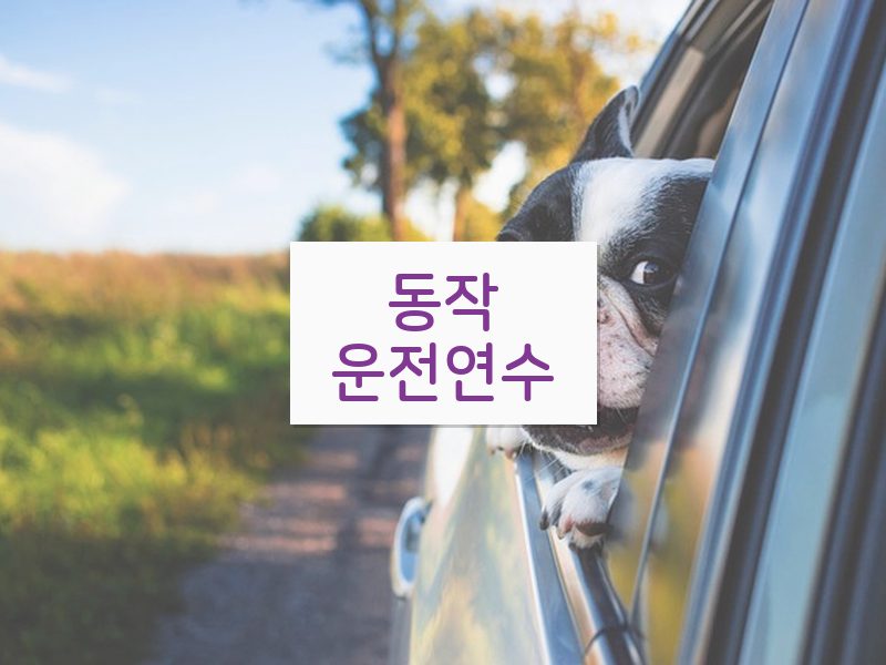동작운전연수 후기