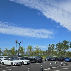 고속도로 연수 후기