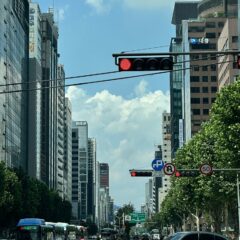 후진 주차 마스터