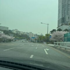 시야 제한 주차의 과제