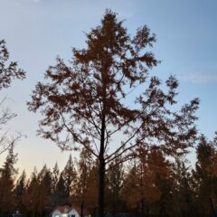 운전 시작 후 달라진 점