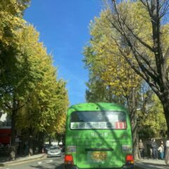 시어머니 병원 모시려고 후기 이미지