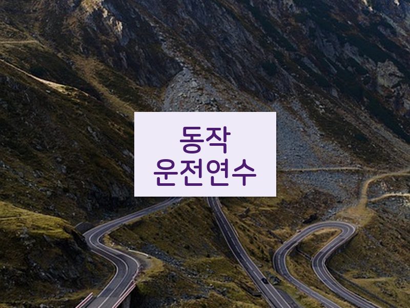 동작운전연수 후기