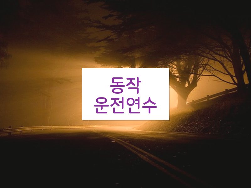 동작운전연수 후기