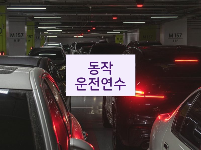 동작운전연수 후기