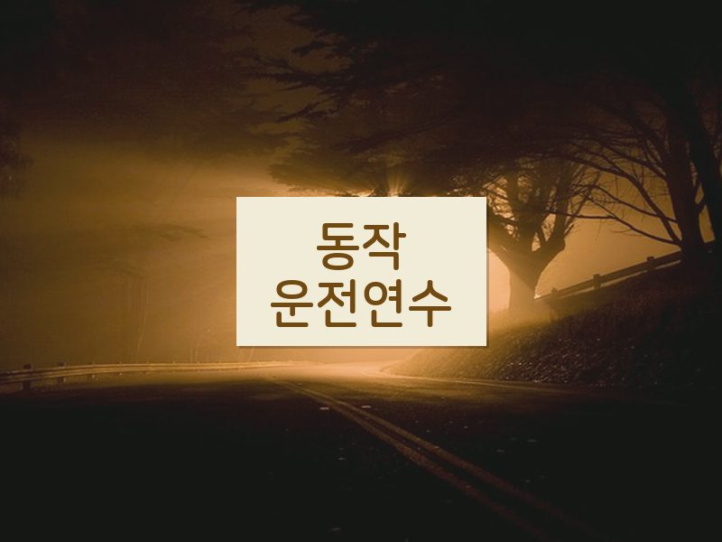 동작운전연수 후기