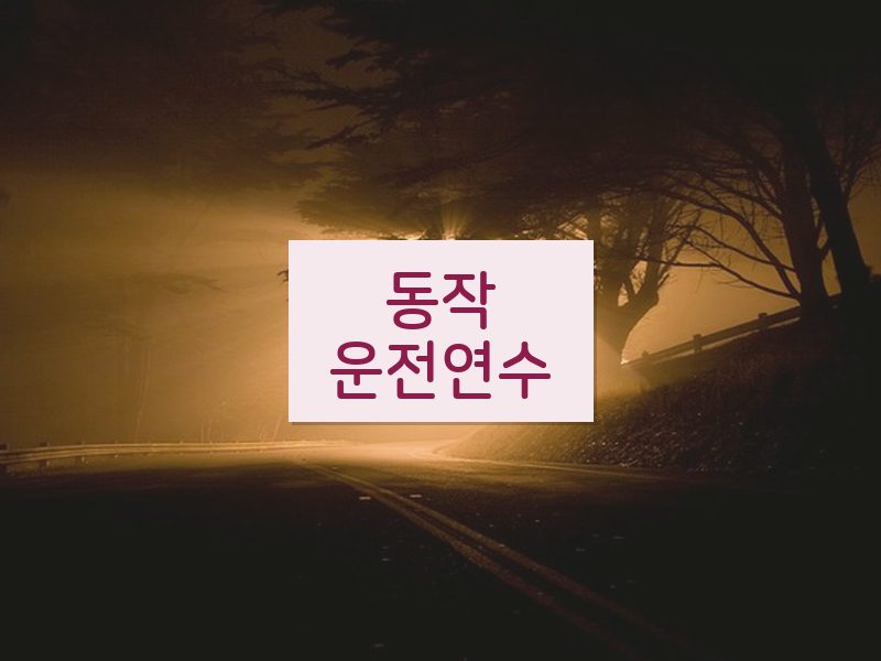 동작운전연수 후기